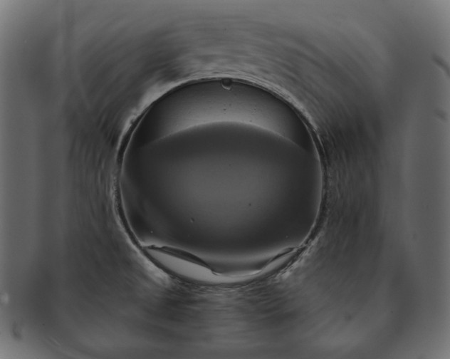 X0000091711525200709071401