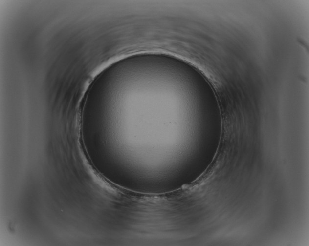 X0000091711526200709071401