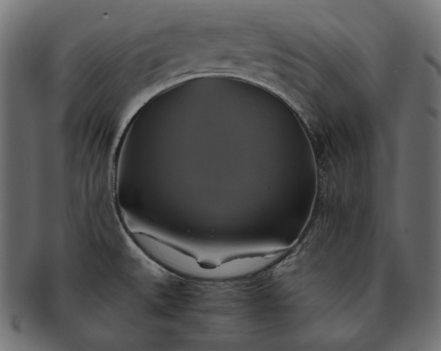 X0000091711527200709071401