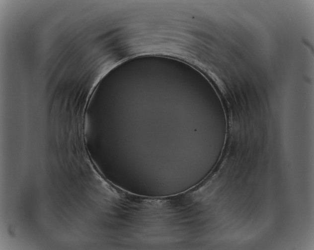 X0000091711529200709071401