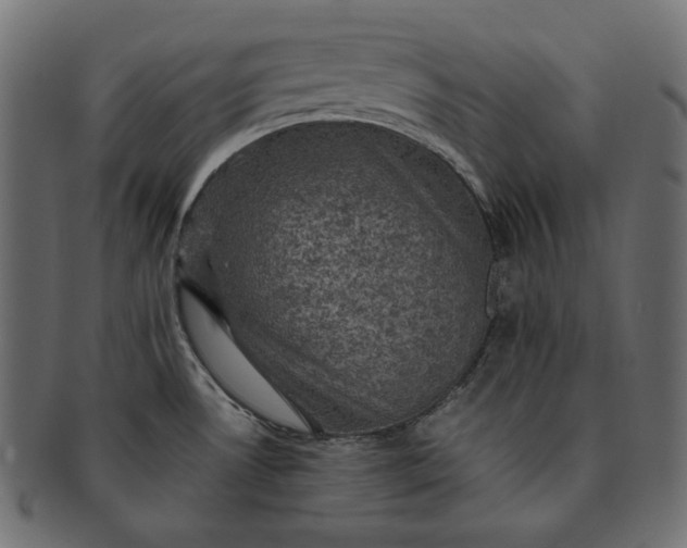 X0000091711530200709071401