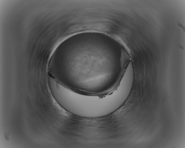 X0000091711532200709071401