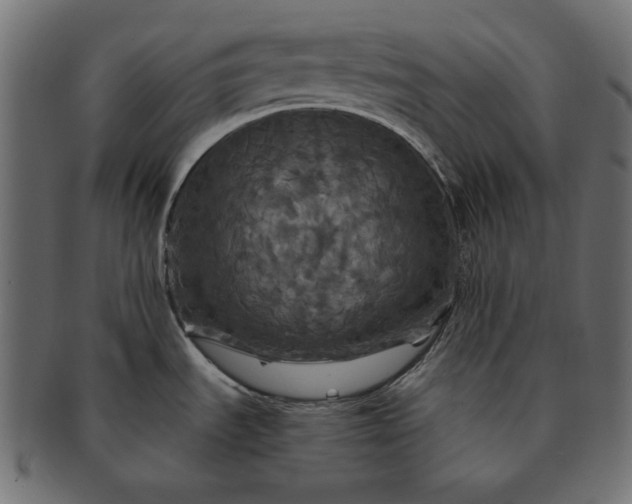 X0000091711535200709071401