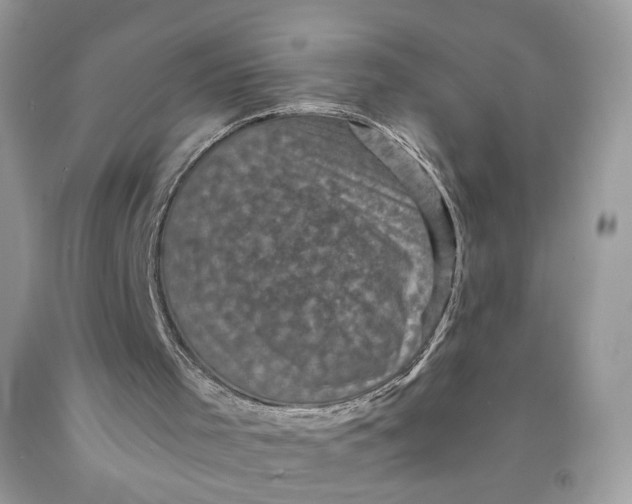 X0000091710001200709141130