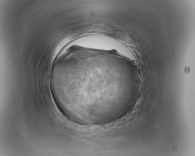 X0000091710003200709141130