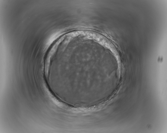 X0000091710005200709141130