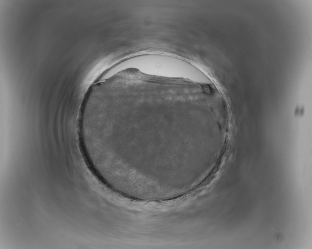 X0000091710007200709141130