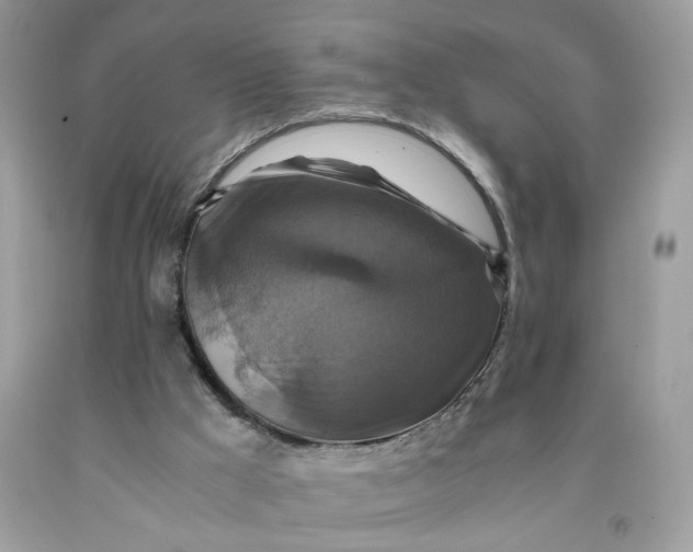 X0000091710009200709141130