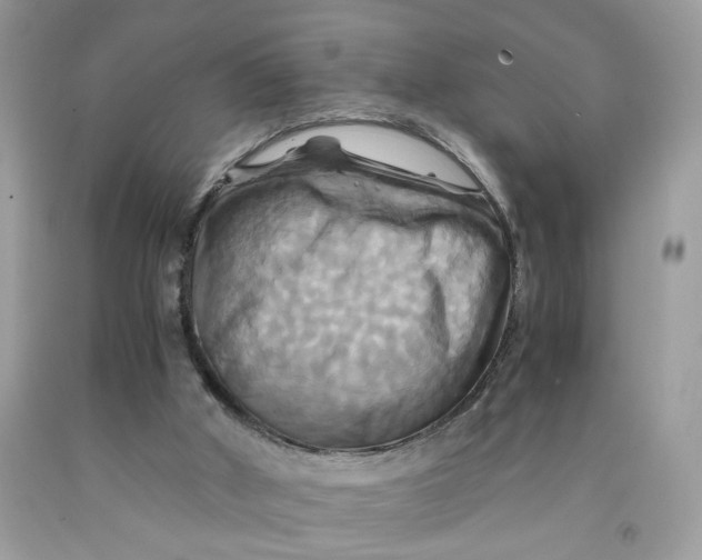 X0000091710010200709141130