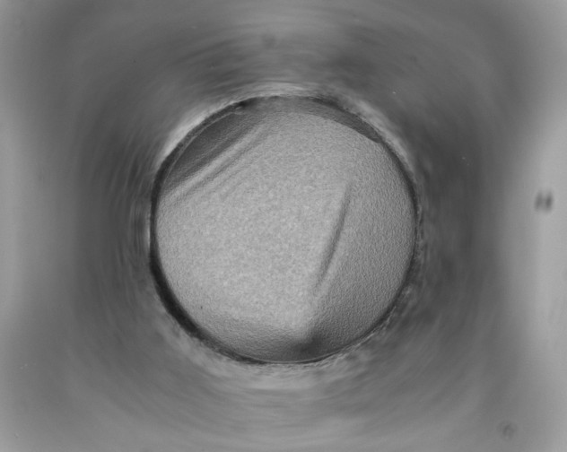 X0000091710011200709141130