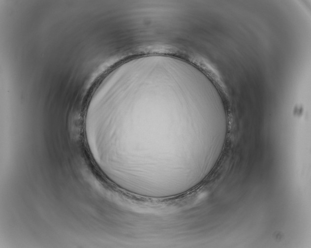 X0000091710012200709141130