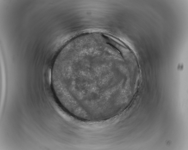 X0000091710013200709141130