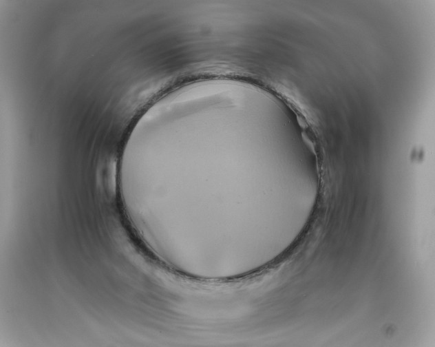 X0000091710014200709141130