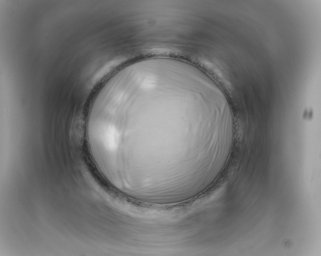 X0000091710016200709141130