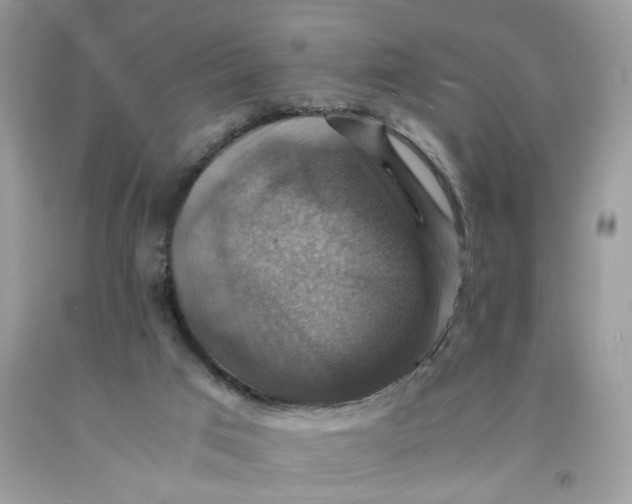 X0000091710017200709141130