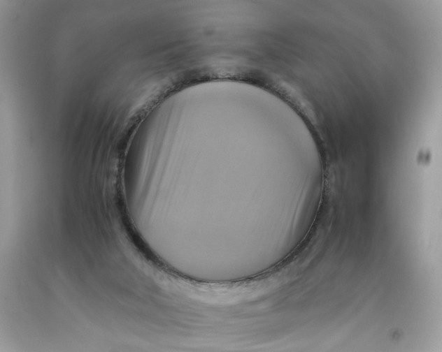 X0000091710018200709141130