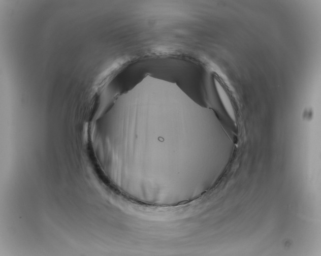 X0000091710019200709141130