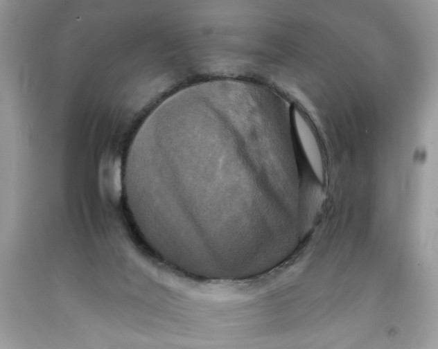 X0000091710020200709141130