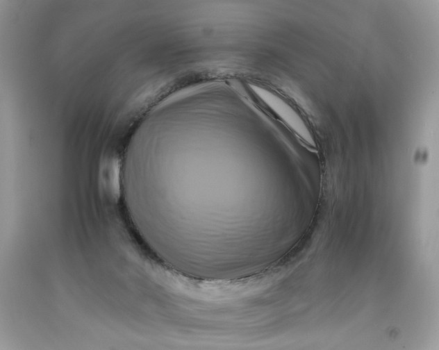 X0000091710022200709141130