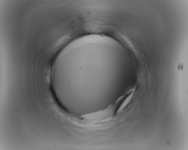 X0000091710023200709141129