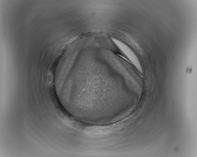 X0000091710025200709141129