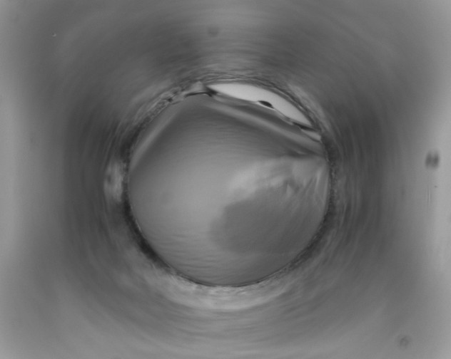 X0000091710026200709141129