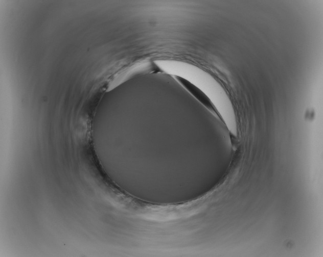 X0000091710029200709141129