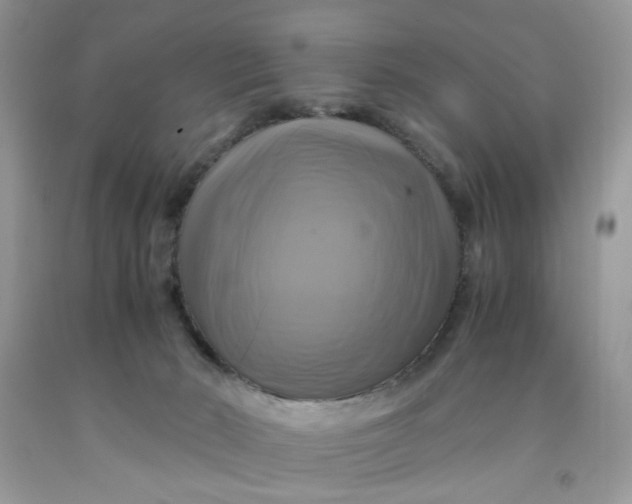 X0000091710030200709141129