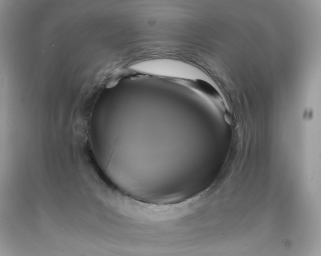 X0000091710031200709141129