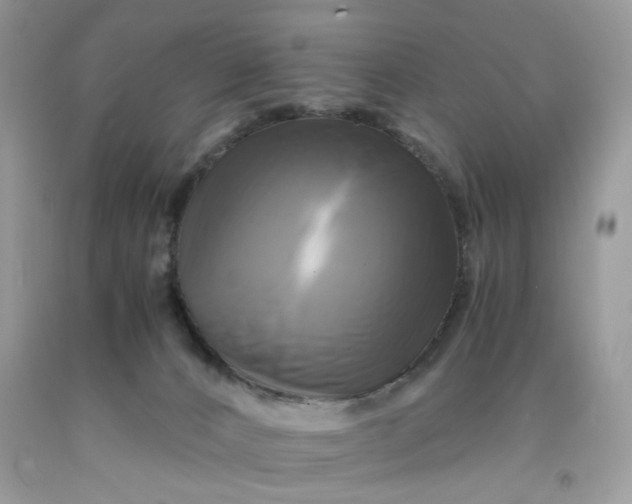 X0000091710032200709141129