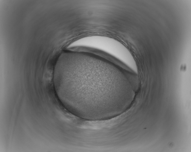 X0000091710033200709141129