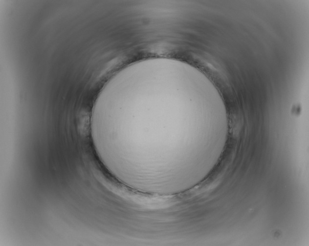 X0000091710036200709141129