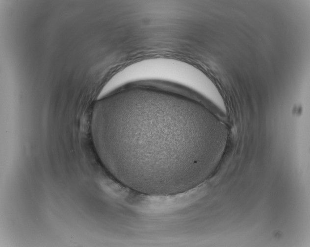 X0000091710037200709141129