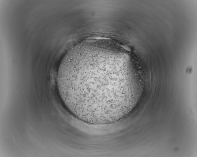 X0000091710038200709141129