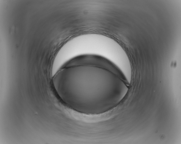 X0000091710039200709141129