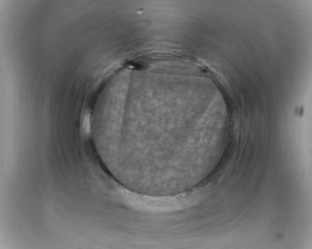 X0000091710042200709141129