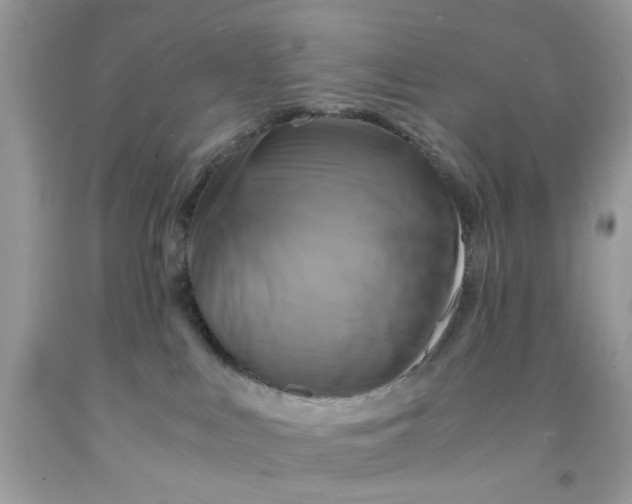 X0000091710043200709141129