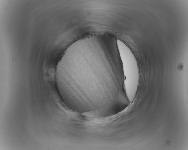 X0000091710045200709141129