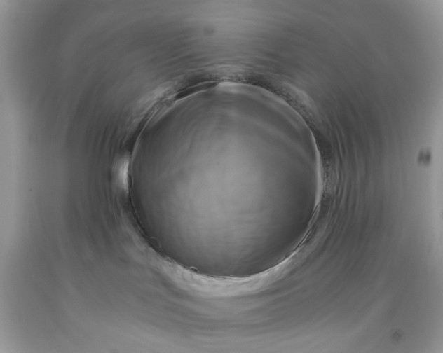 X0000091710047200709141129