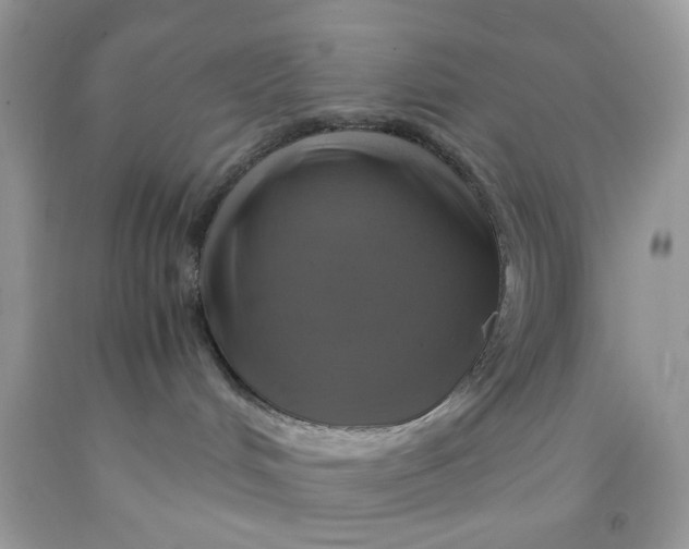 X0000091710048200709141129