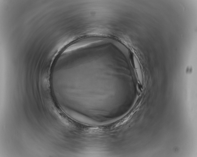 X0000091710050200709141128