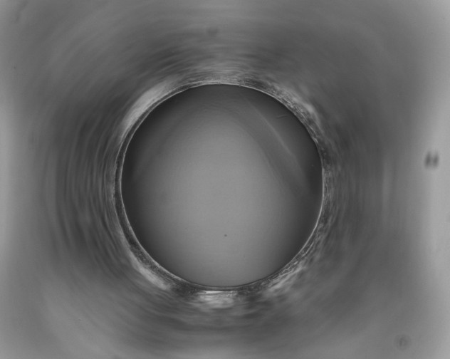 X0000091710051200709141128