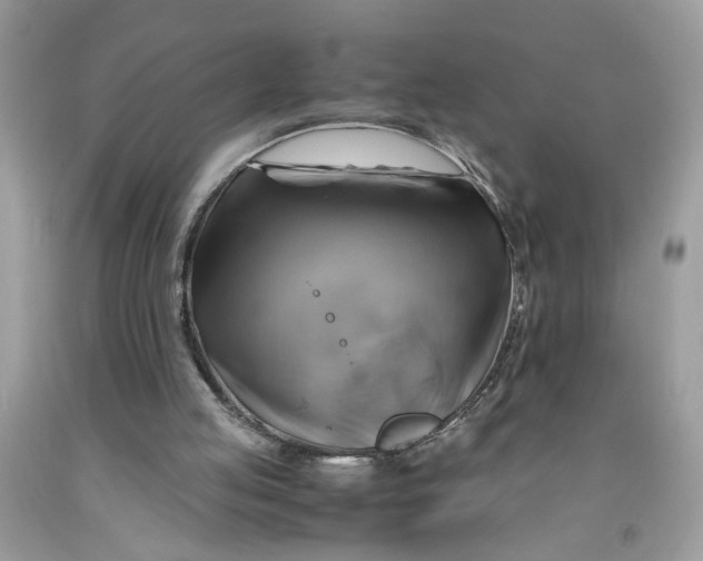 X0000091710053200709141128