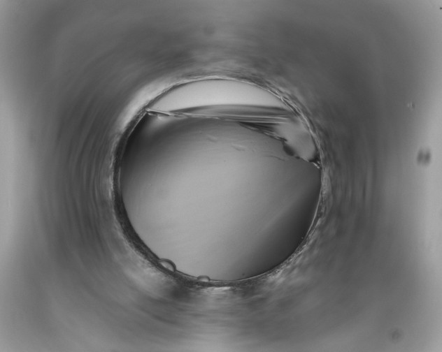 X0000091710054200709141128