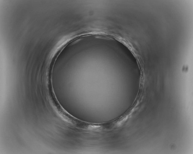 X0000091710055200709141128