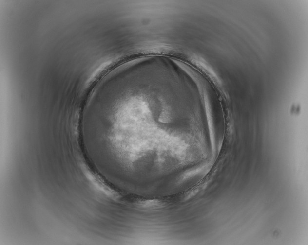 X0000091710058200709141129