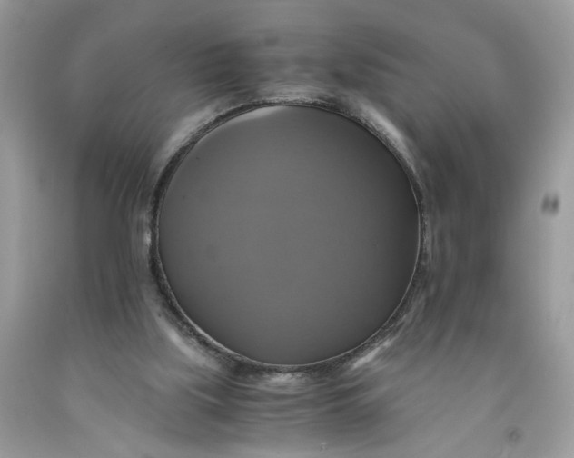 X0000091710059200709141129