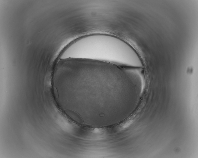 X0000091710060200709141129