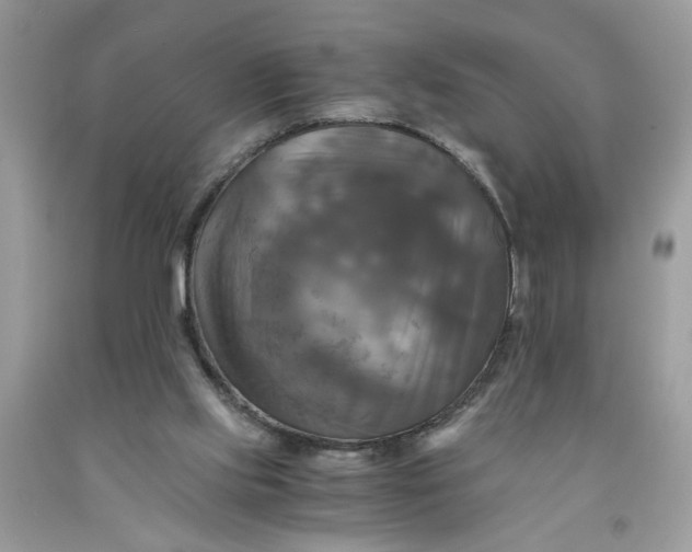 X0000091710061200709141129