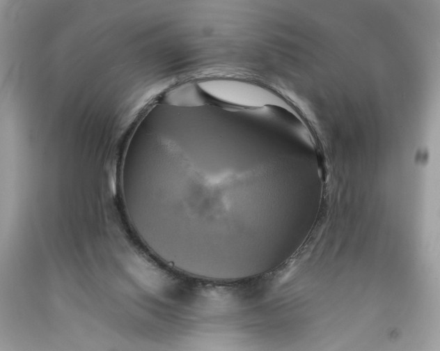 X0000091710062200709141129